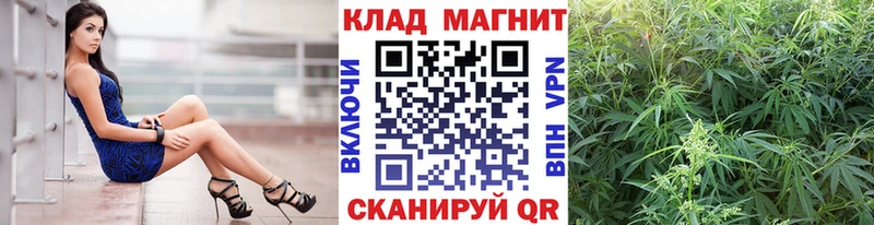 Купить наркоту Белая Холуница ГАШ  omg зеркало  A-PVP  Меф  COCAIN  Галлюциногенные грибы 